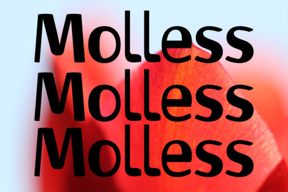 Molless: A Strong Display Font for Impactful Communication